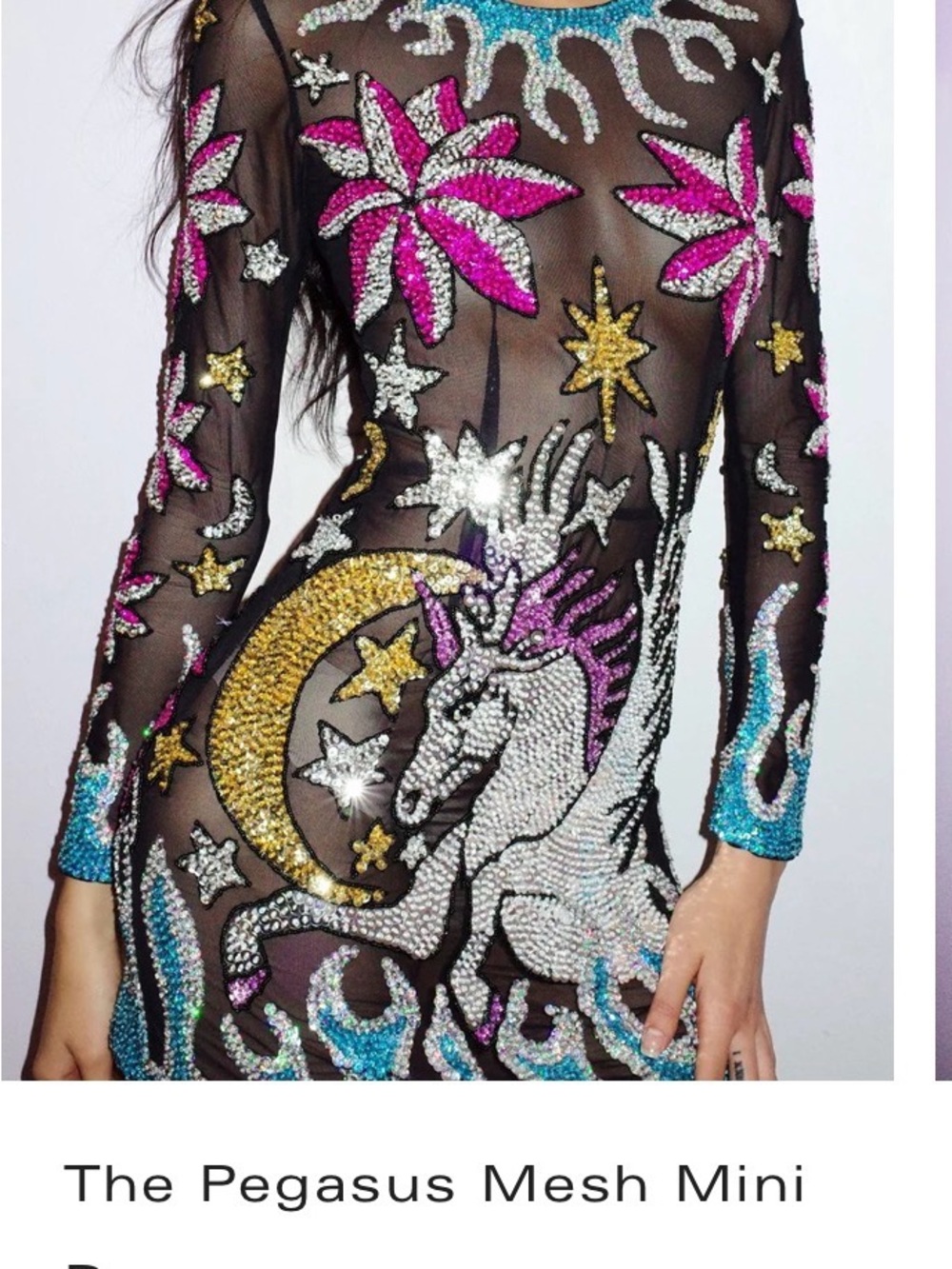 Embellished Black Mesh Mini Dress with Multicolor Crystal Pegasus Motif